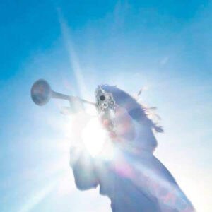 Geese Getting Killed portada