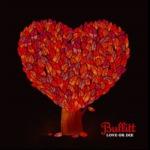 Bullitt - Love or Die portada