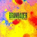 Brandauer - Antiguas ilusiones/Nuevas decepciones portada