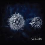 Cranes - Cranes portada