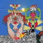 Super Furry Animals - Hey Venus! portada