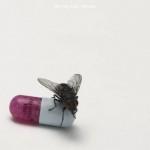 Red Hot Chili Peppers - I'm With You portada