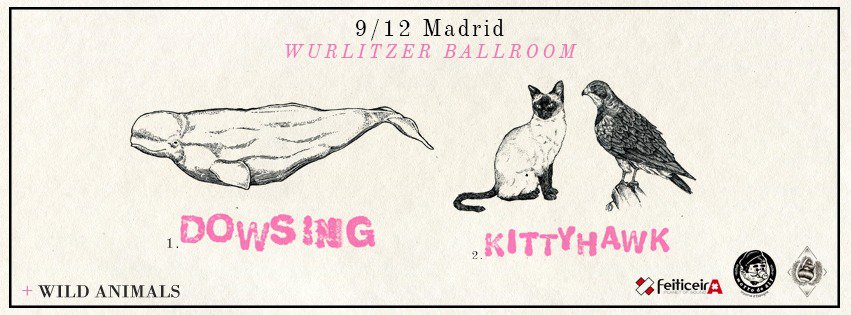 CONCURSO: Dowsing + Kittyhawk en Madrid - Kittyhawk,Dowsing